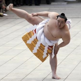 Sumo